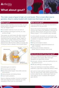 WAG fact sheet screenshot